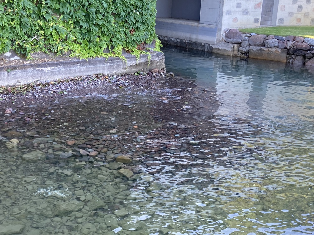 Dragaggio Darsena – Ormeggio
